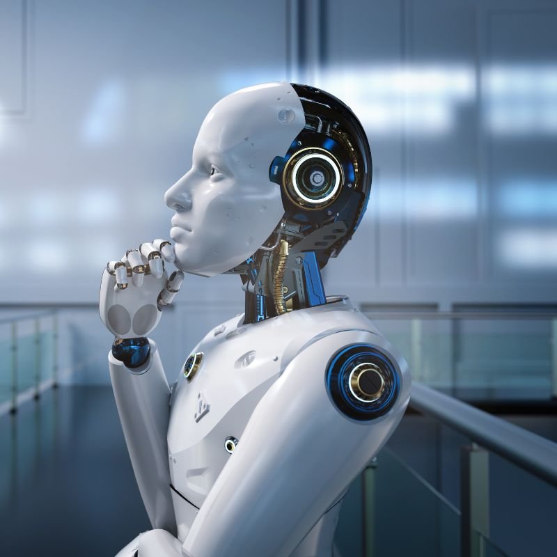 June 2024 Law Letter